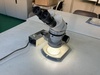 ニコン SMZ 実体顕微鏡